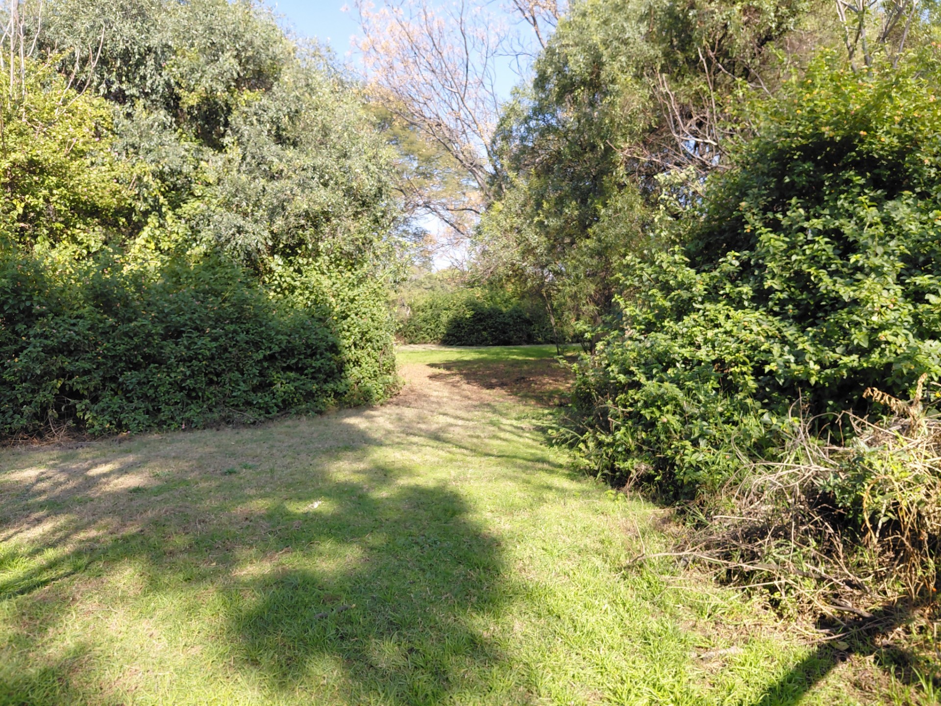 Farm For Sale in Boundary Park, Randburg