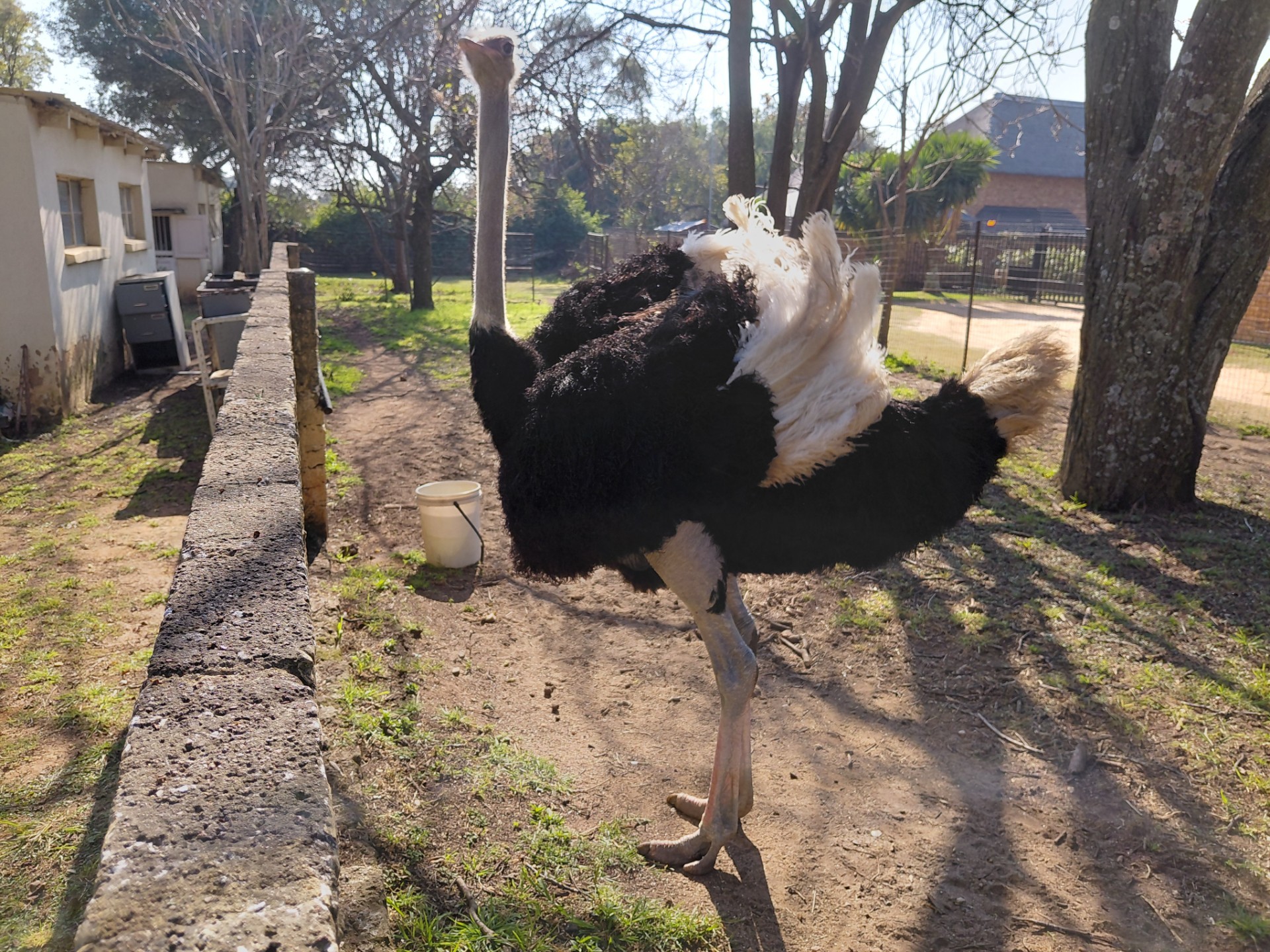 Farm For Sale in Boundary Park, Randburg
