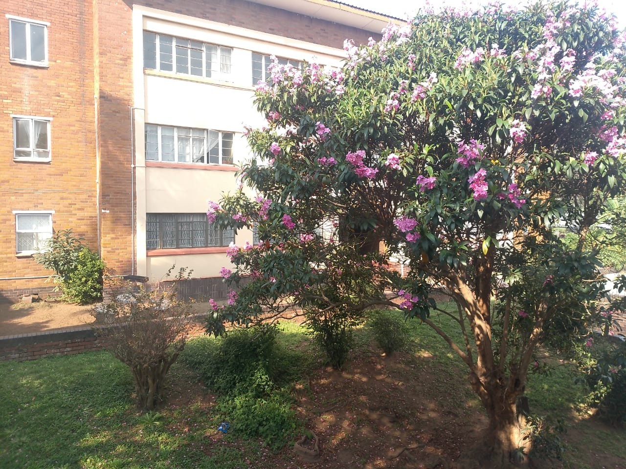 3 bedroom Apartment For Sale in Umbilo, Durban, KwaZulu Natal