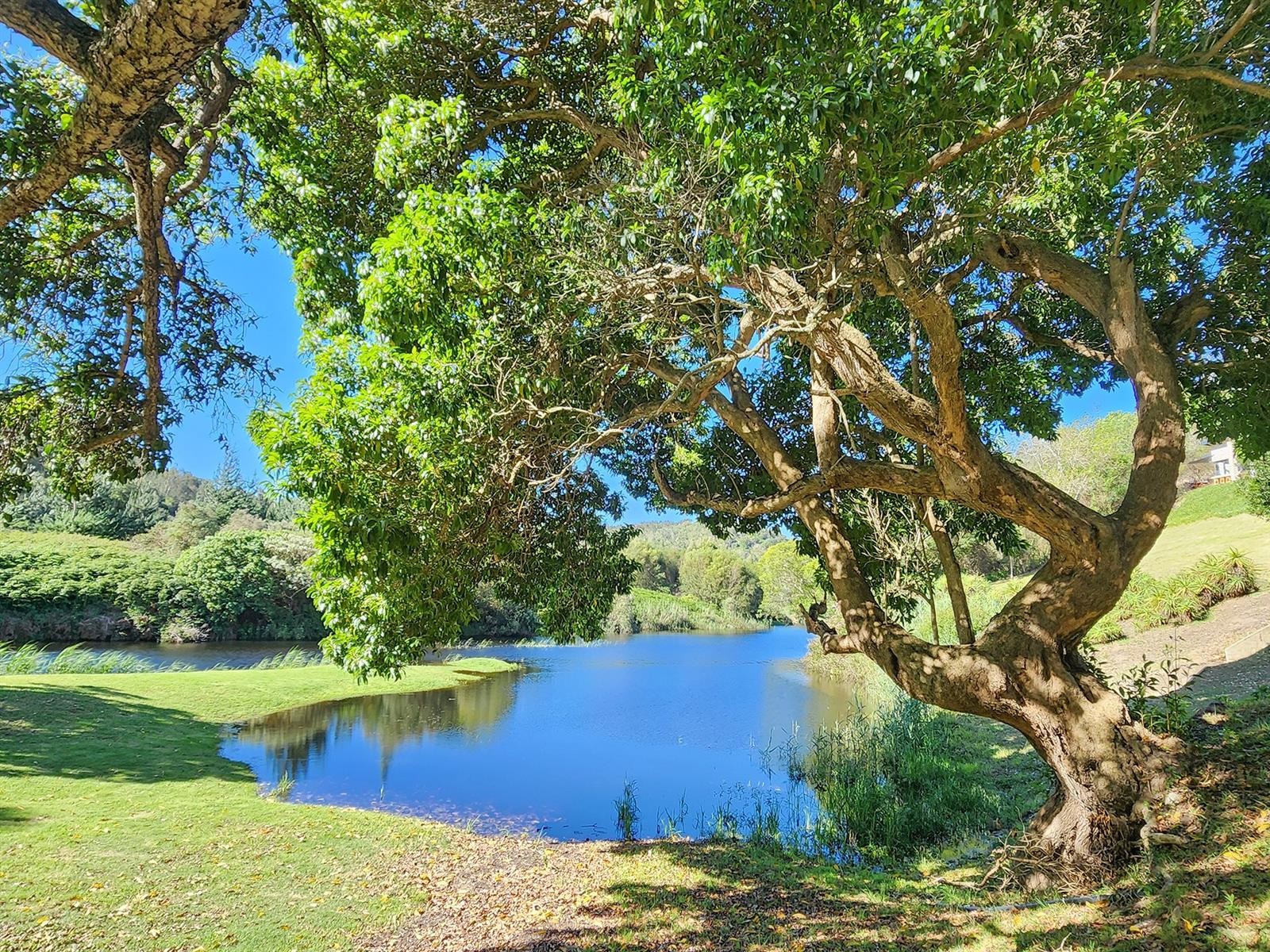 Premium hospitality asset , on the riverside, in the Garden Route.