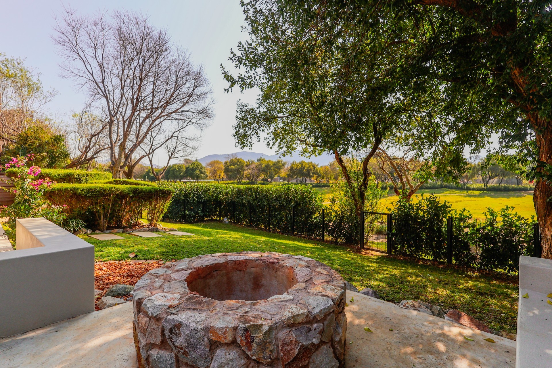 North-Facing Gem, filled with natural light, charm and elegance!