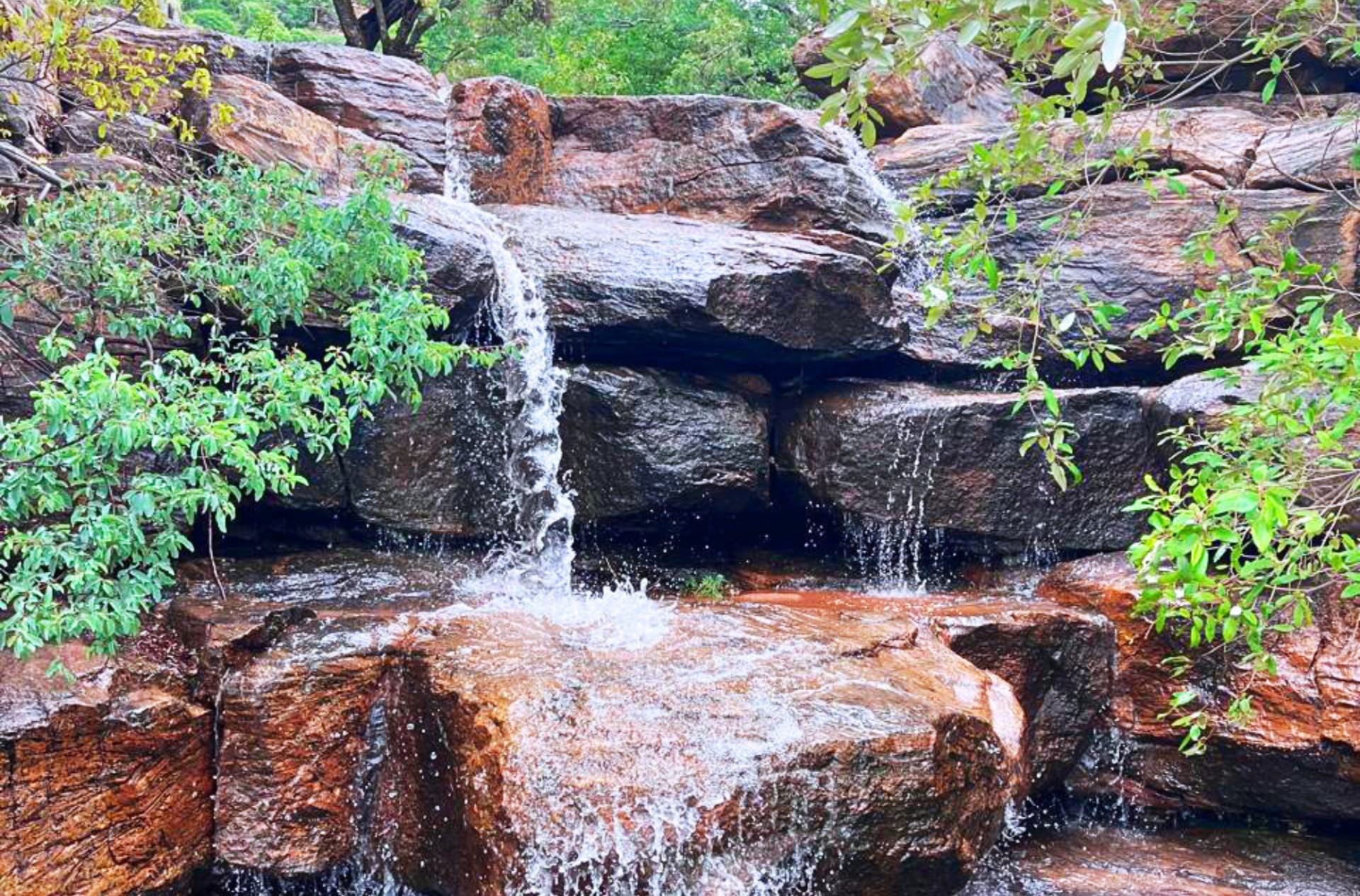 Exceptional Game Farm Limpopo Province