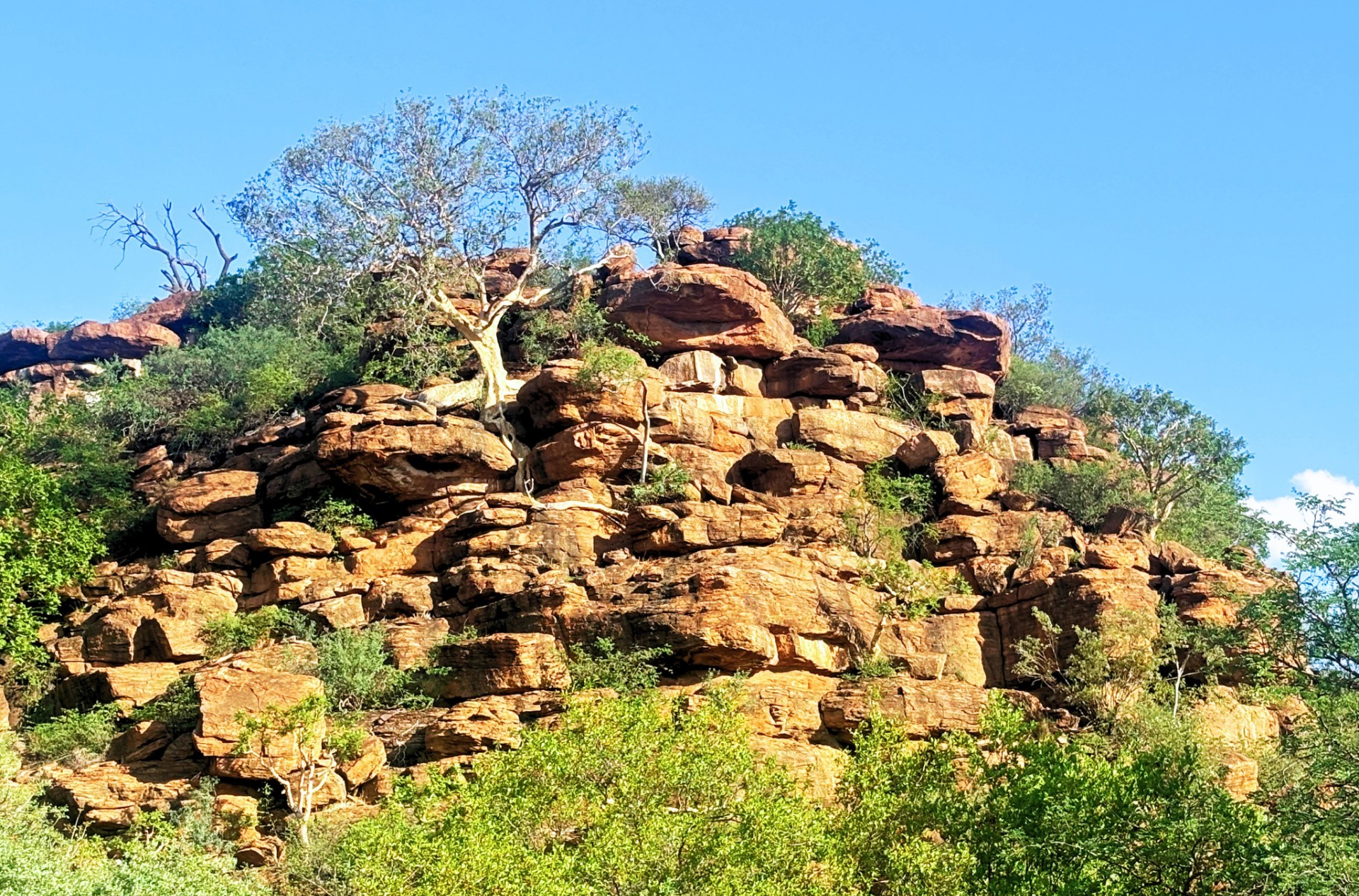 Exceptional Game Farm Limpopo Province