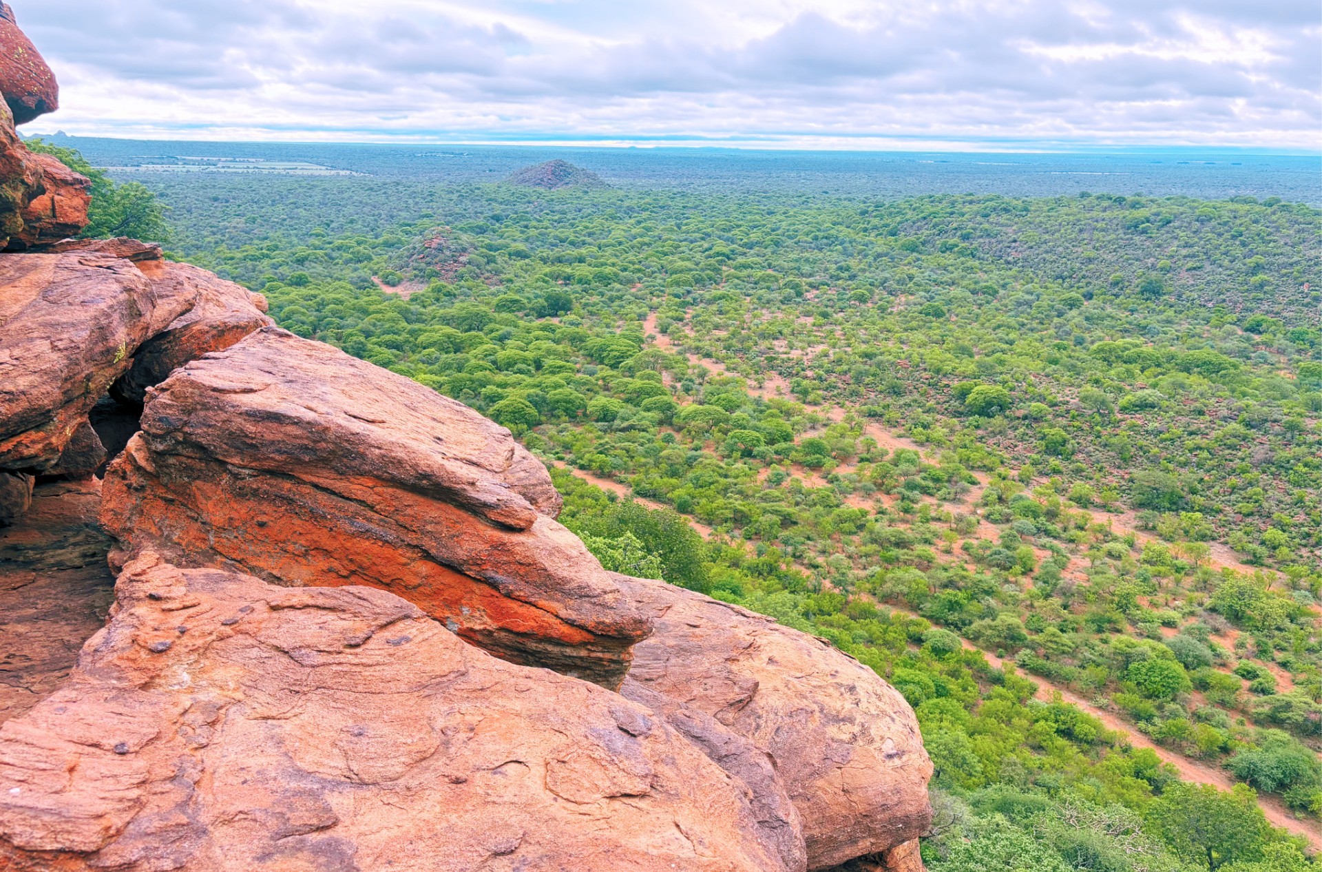 Exceptional Game Farm Limpopo Province