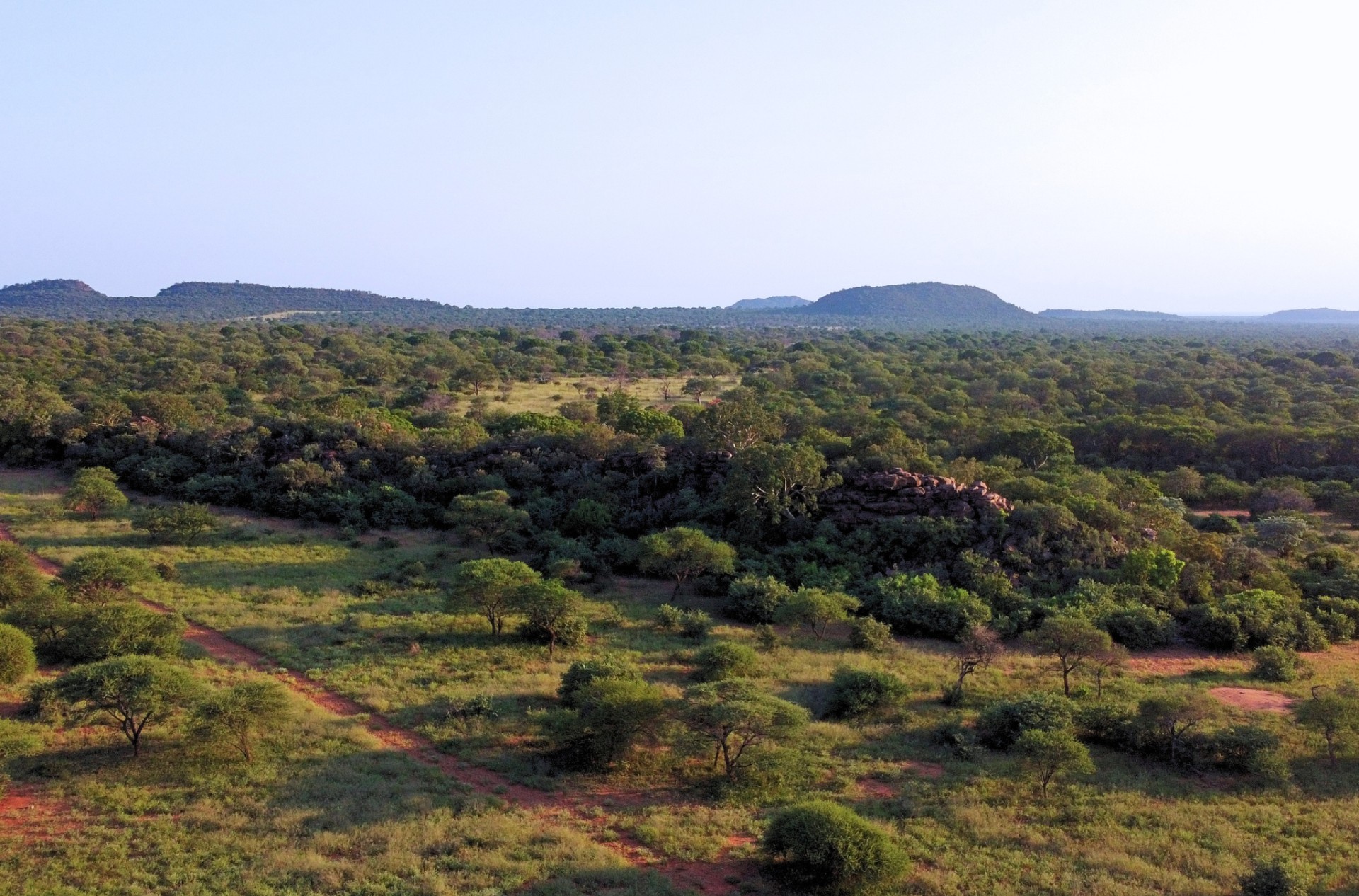 Exceptional Game Farm Limpopo Province