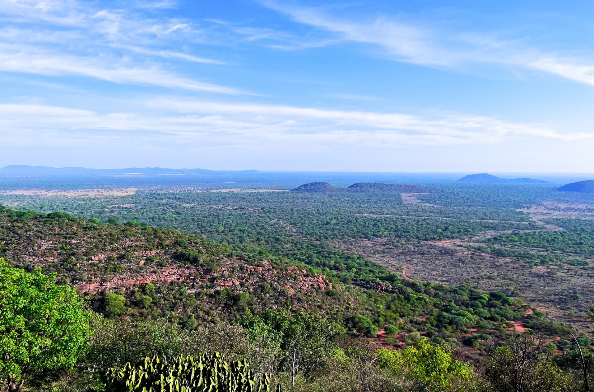 Exceptional Game Farm Limpopo Province