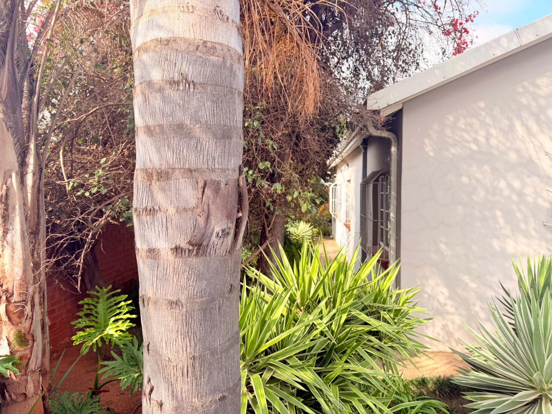 Commercial Property For Sale in Vryheid, KwaZulu Natal
