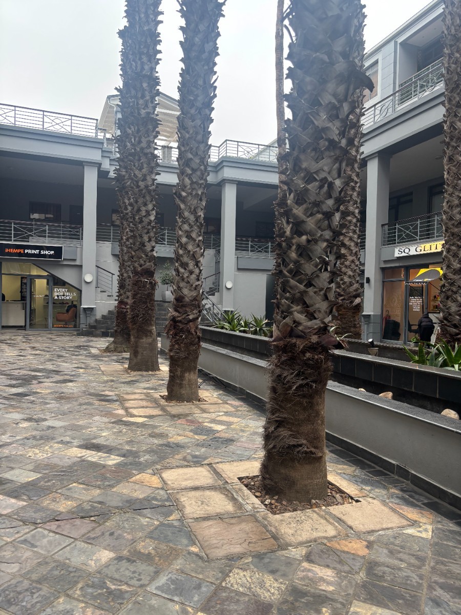Airbnb-Ready Studio in Cape Town's Trendy East City