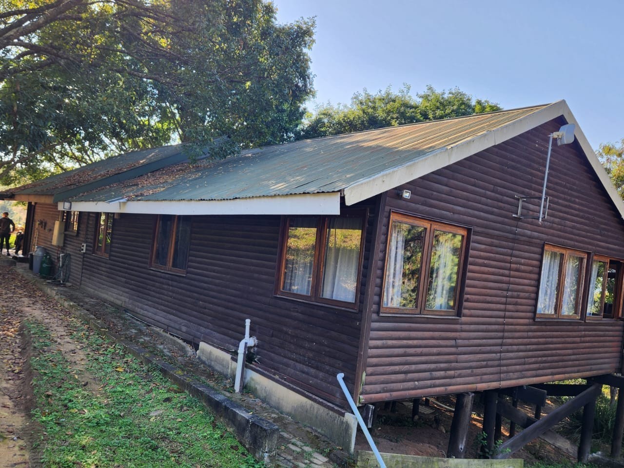 Log cabin lifestyle on a mountain with indigenous trees and bird song