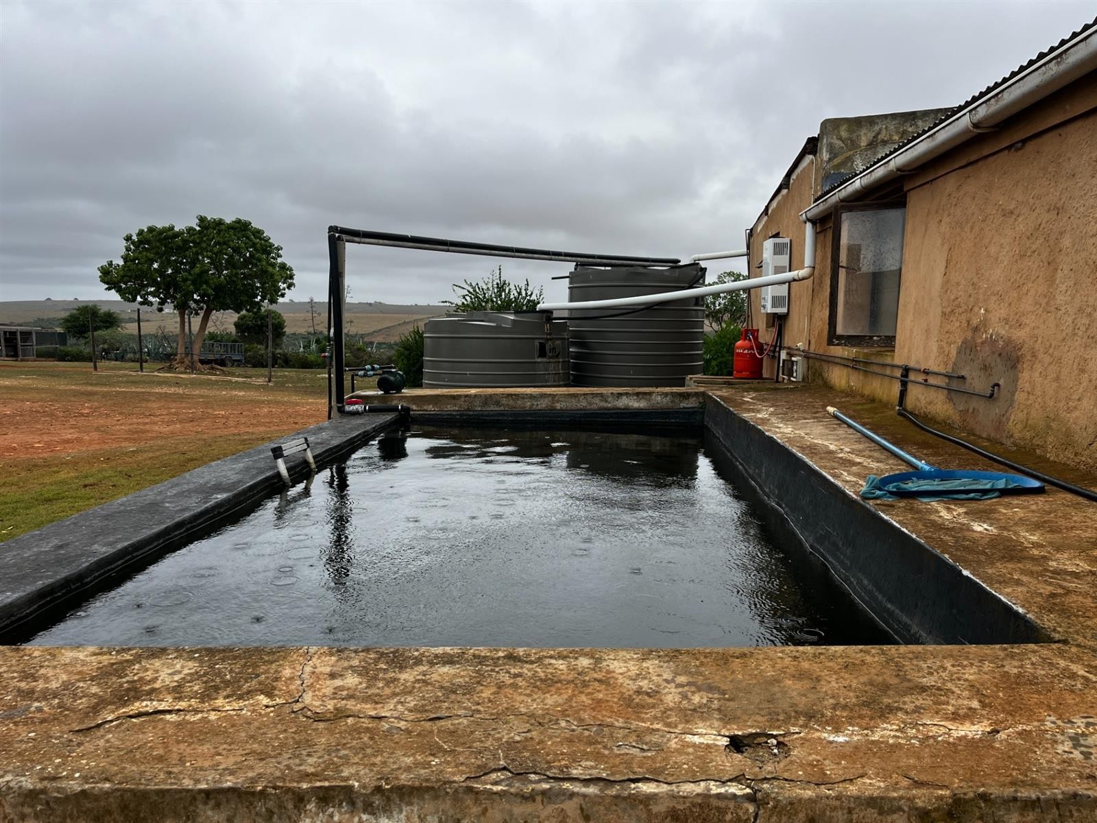 Farm For Sale