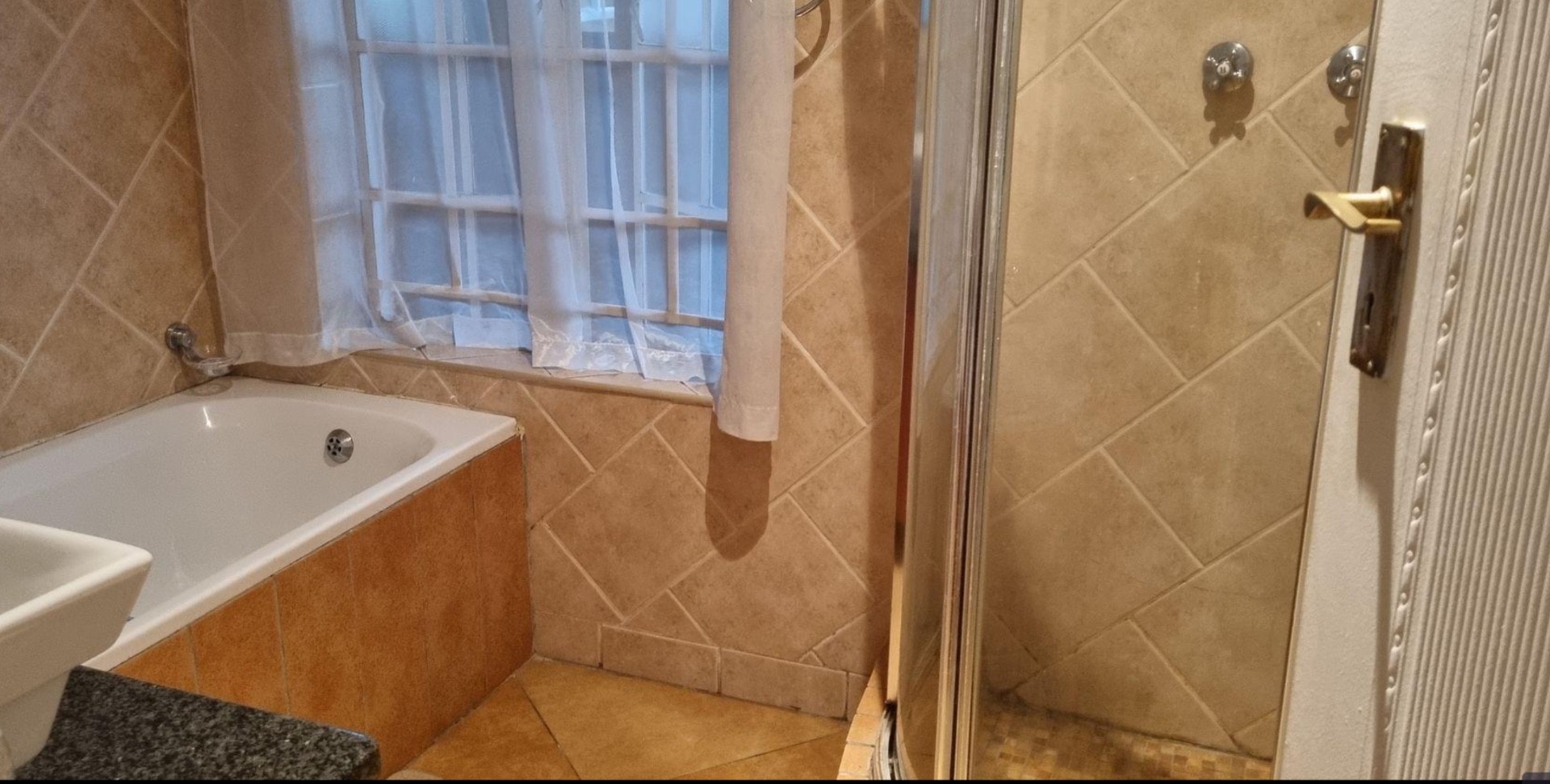 Prime Student Investment with Exceptional Income Potential