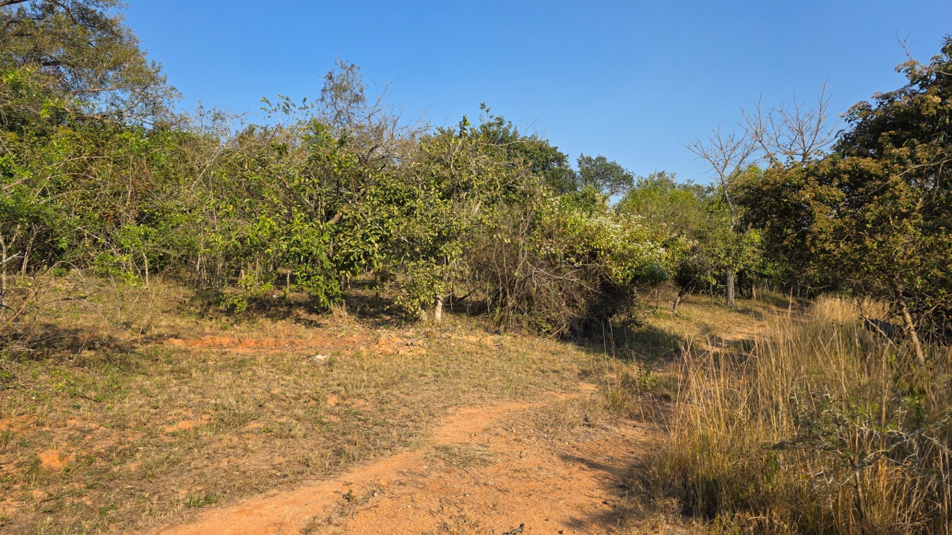 Build Your Lowveld Dream in Shiloh Lifestyle Estate
