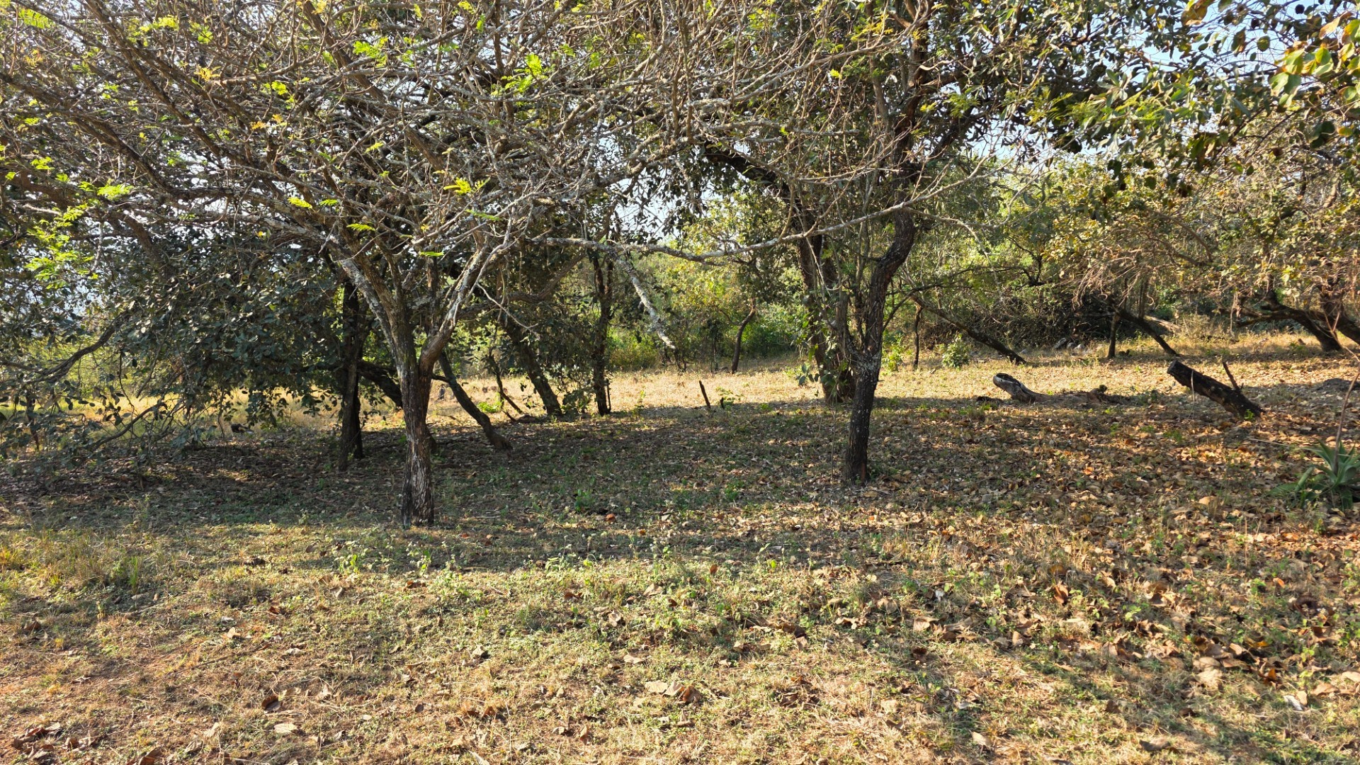 Build Your Lowveld Dream in Shiloh Lifestyle Estate
