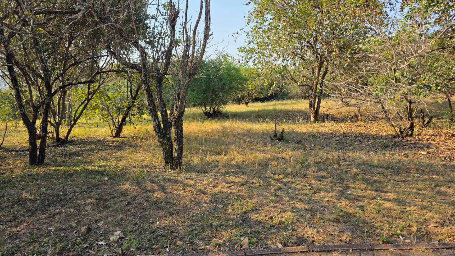 Build Your Lowveld Dream in Shiloh Lifestyle Estate