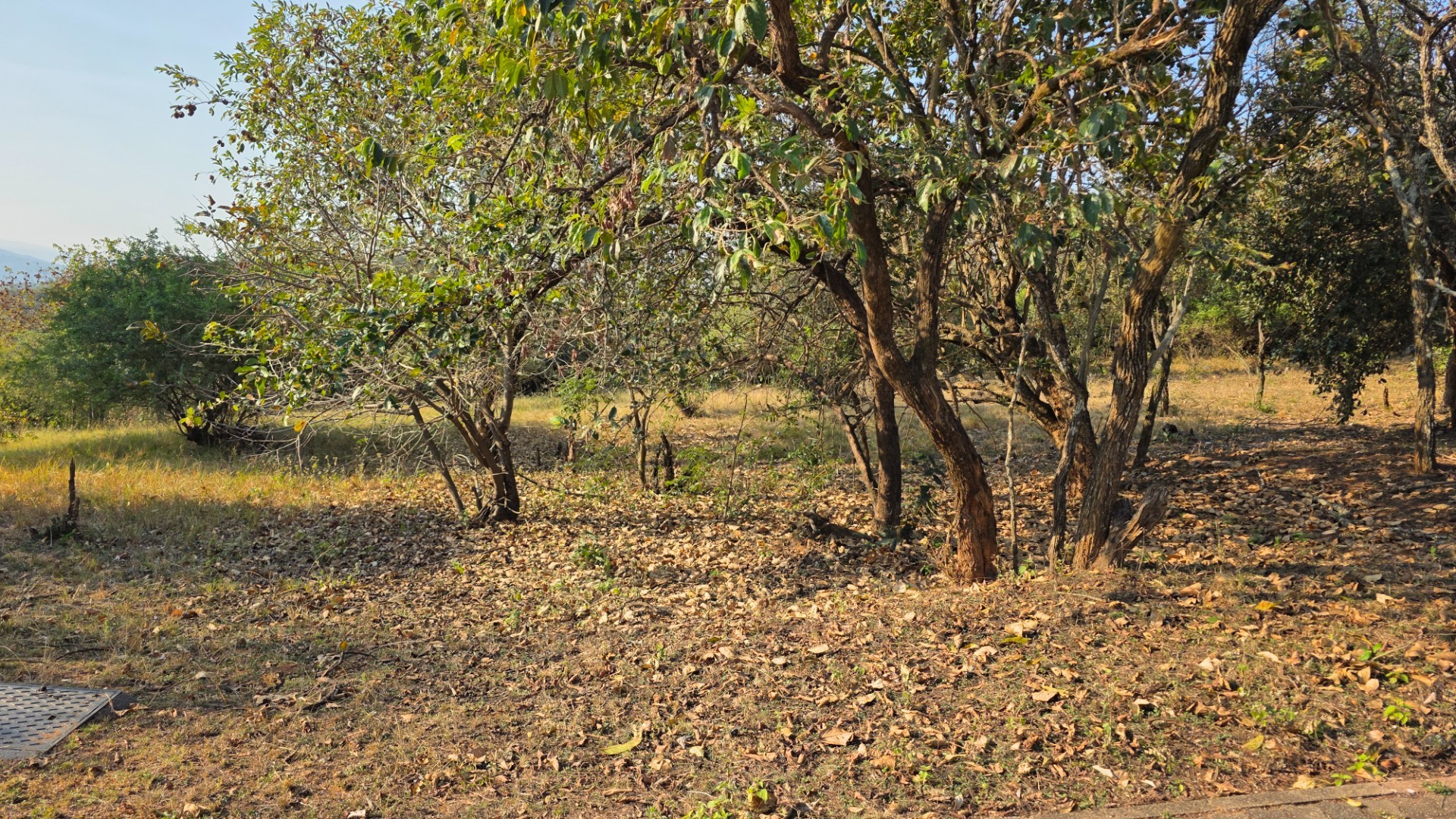 Build Your Lowveld Dream in Shiloh Lifestyle Estate