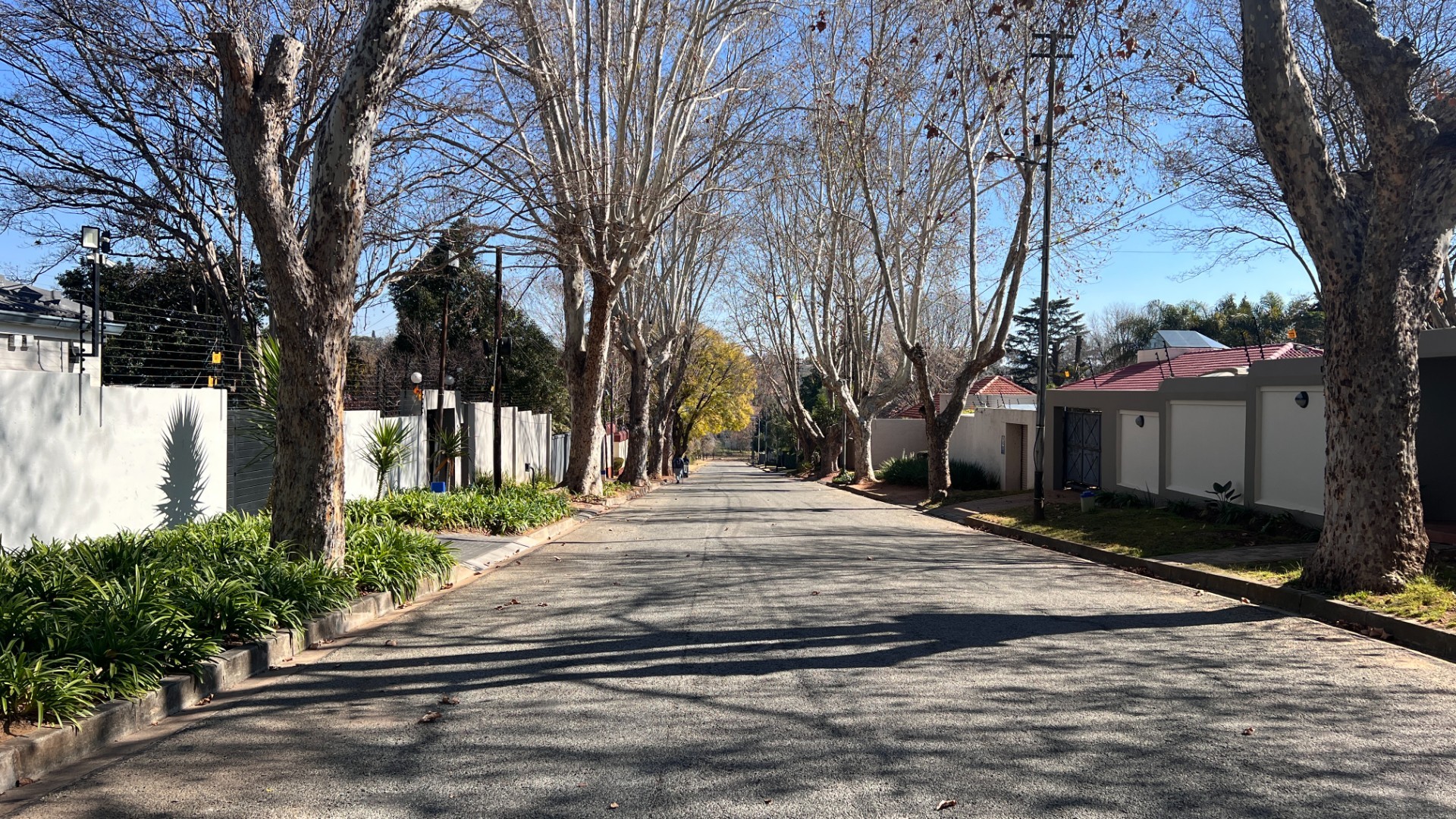 Cottage for rent in Highlands North, Johannesburg, 55 m²