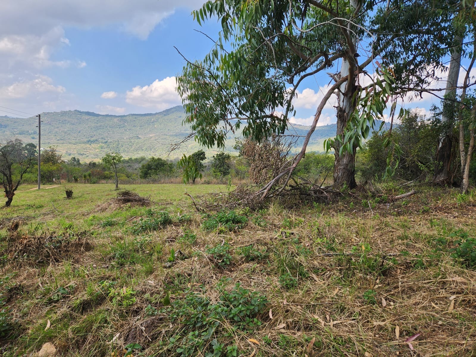 1.1ha Small Holding with views, water and electricity