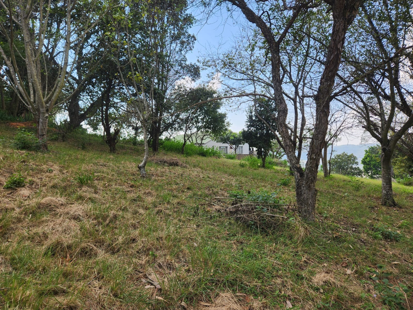 1.1ha Small Holding with views, water and electricity