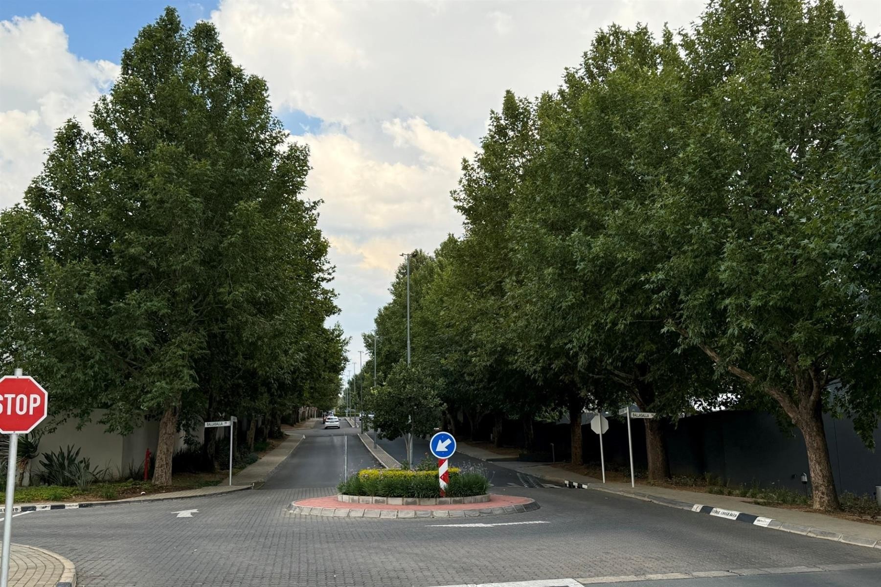 Vacant Land For Sale in Cedar Creek Estate