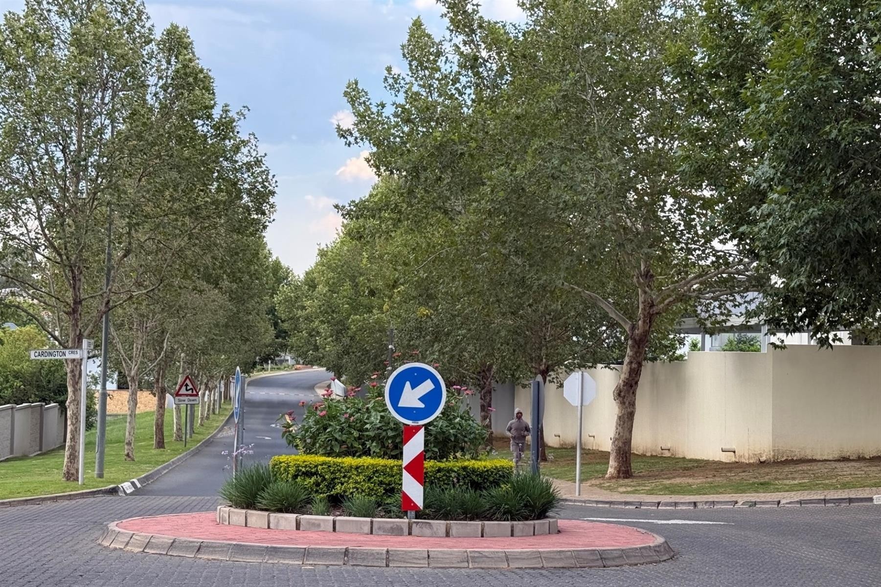 Vacant Land For Sale in Cedar Creek Estate