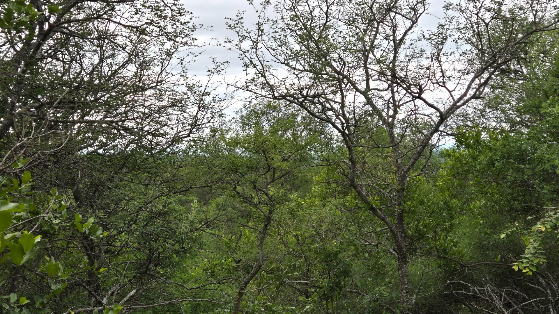 Located on the slopes of the Drakensberg Mountains with views over mountain and Limpopo, Hoedspruit