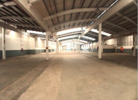 Warehouses 2000m-5000m in same park for sale or lease in New Germany.