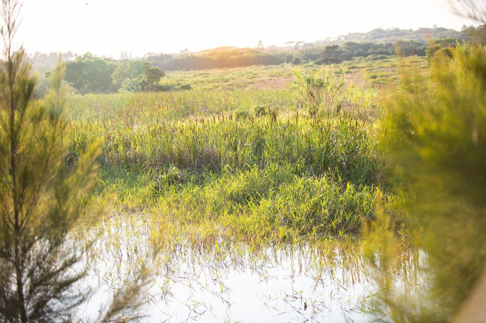 House for rent in Lalela Estate, Ballito, KwaZulu Natal, 150 m²