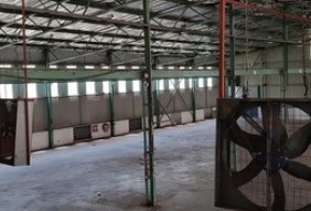 Warehouse for rent in Prospecton Industrial, Isipingo, KwaZulu Natal, 1471 m²