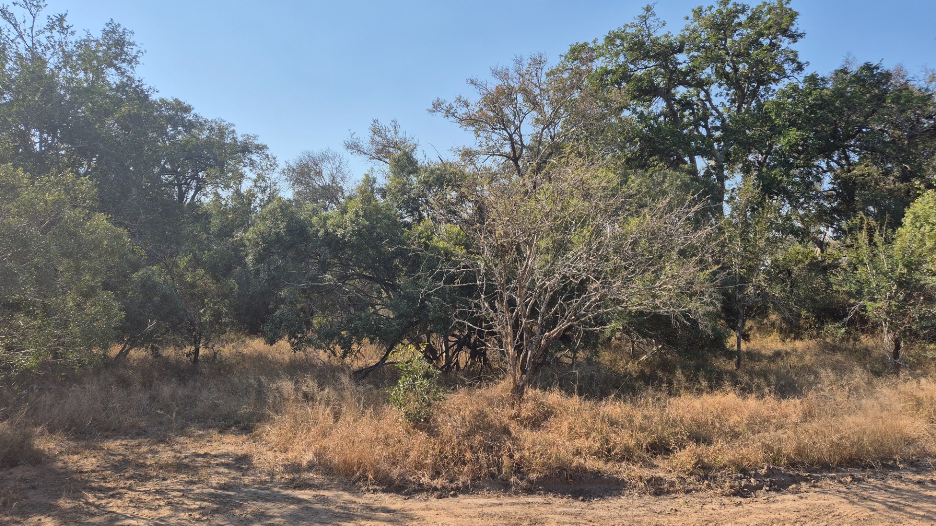 Vacant Land for sale in Moditlo Nature Reserve, Hoedspruit, 8825 m²