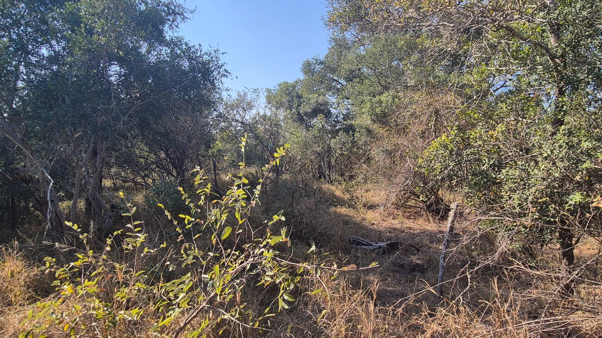 Vacant Land for sale in Moditlo Nature Reserve, Hoedspruit, 8825 m²