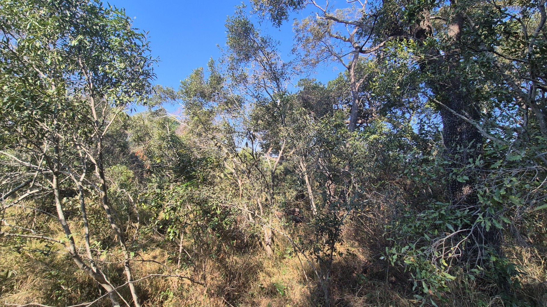 Vacant Land for sale in Moditlo Nature Reserve, Hoedspruit, 8825 m²