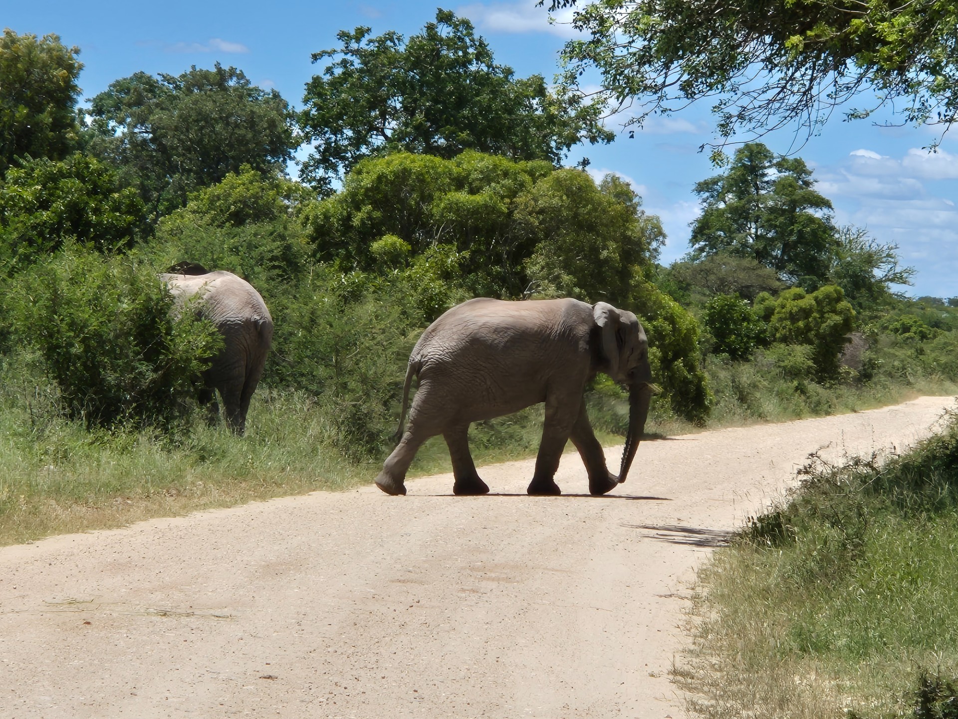 Vacant Land for sale in Moditlo Nature Reserve, Hoedspruit, 8825 m²