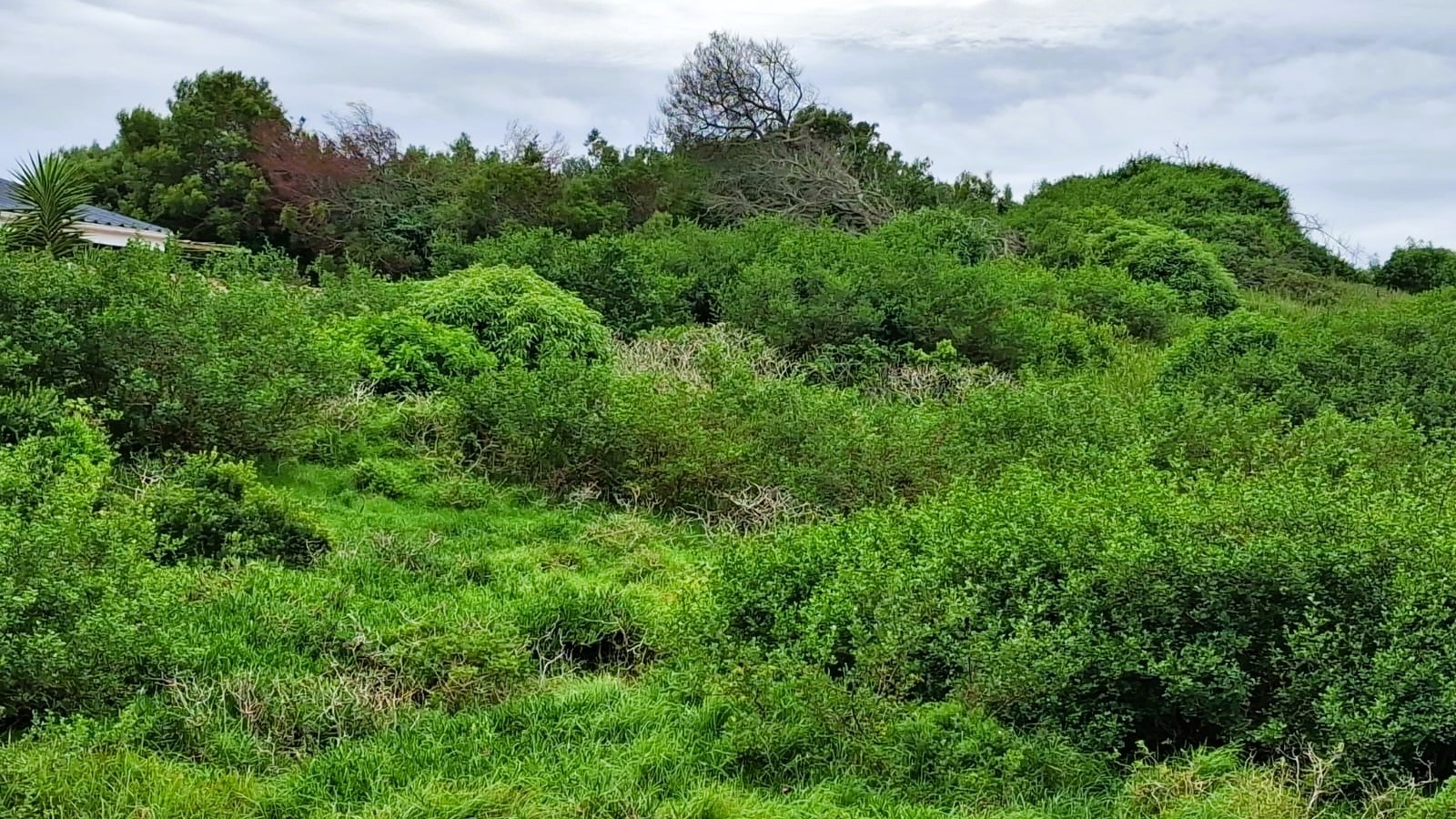 Vacant Land for sale in Paradise Beach, Jeffreys Bay, 866 m²