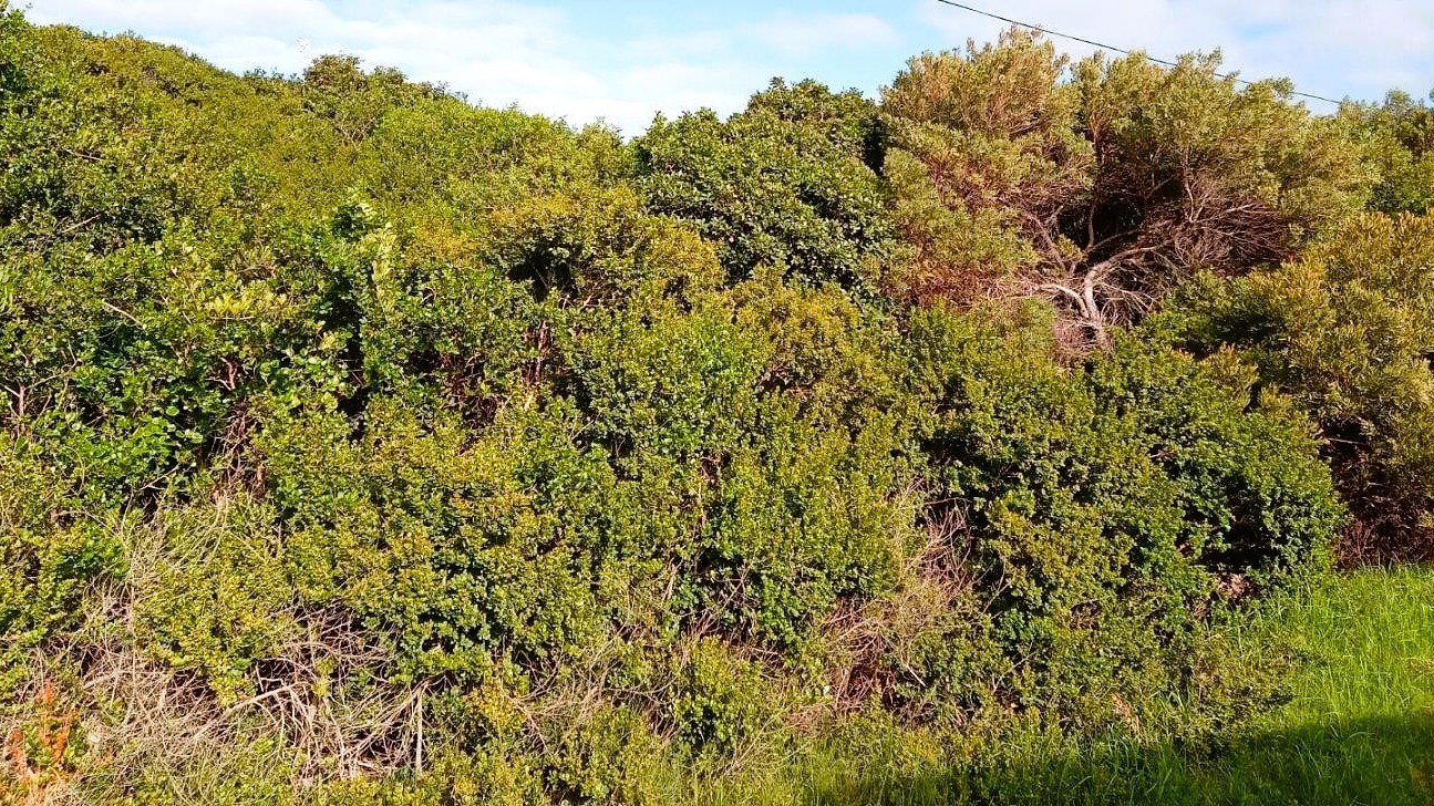 788m² Vacant Stand for Sale in Paradise Beach, Jeffreys Bay - Walk to the Beach