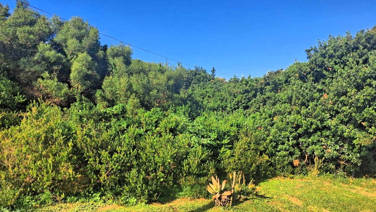 Vacant Land for sale in Paradise Beach, Jeffreys Bay, 788 m²
