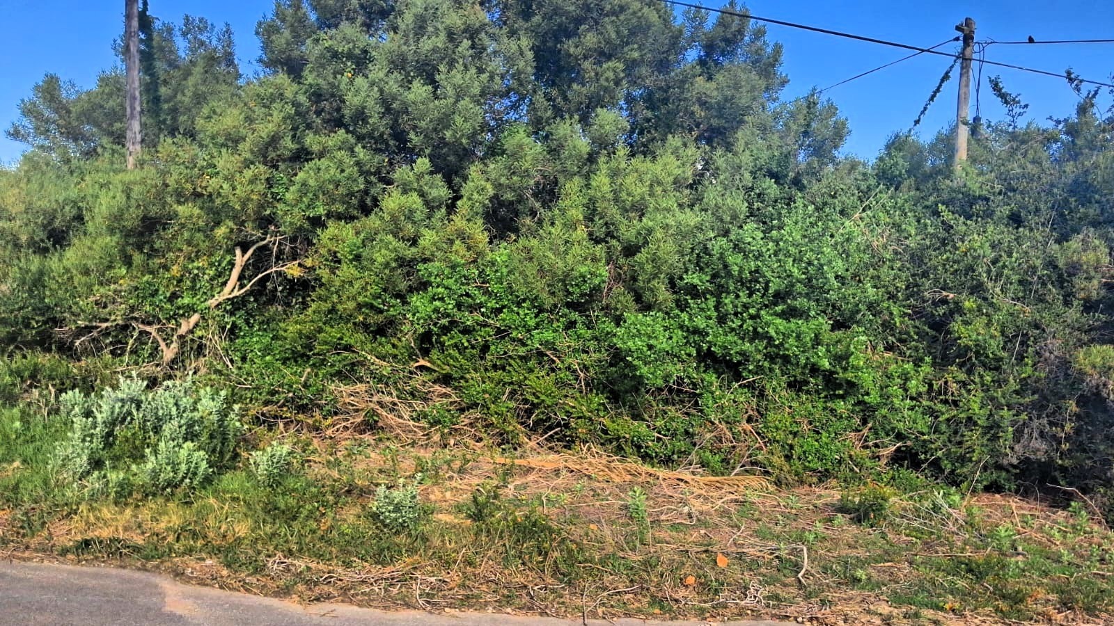 Vacant Land for sale in Paradise Beach, Jeffreys Bay, 788 m²