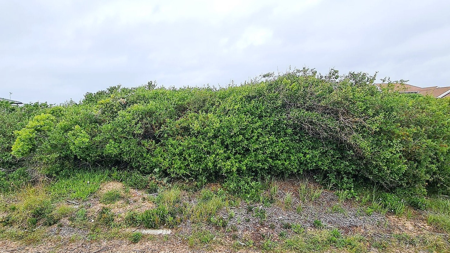 Vacant Stand for Sale in Paradise Beach, Jeffreys Bay - Build Your Dream Coastal Home