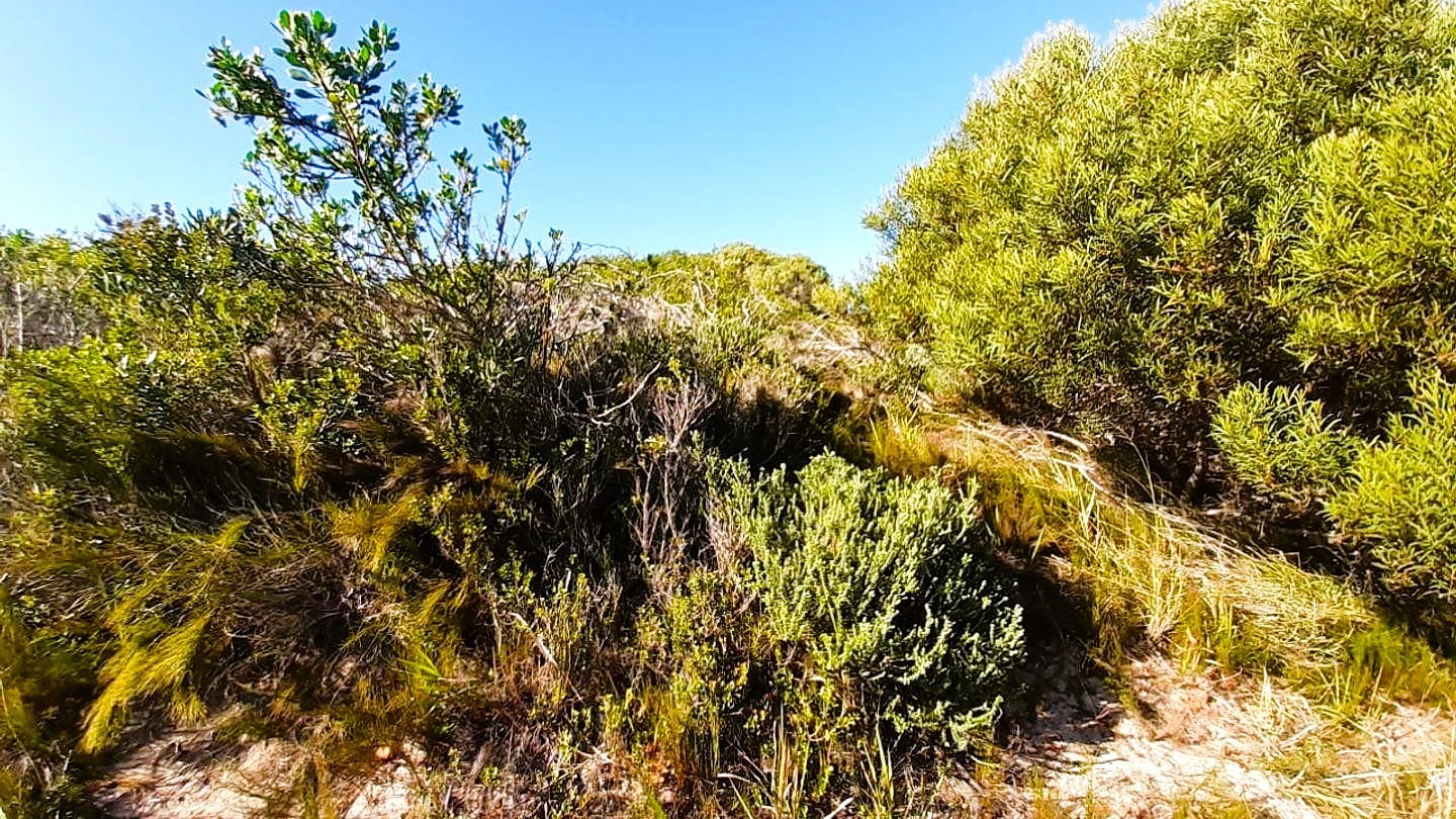 Vacant Stand for Sale in Paradise Beach, Jeffreys Bay - Build Your Dream Coastal Home