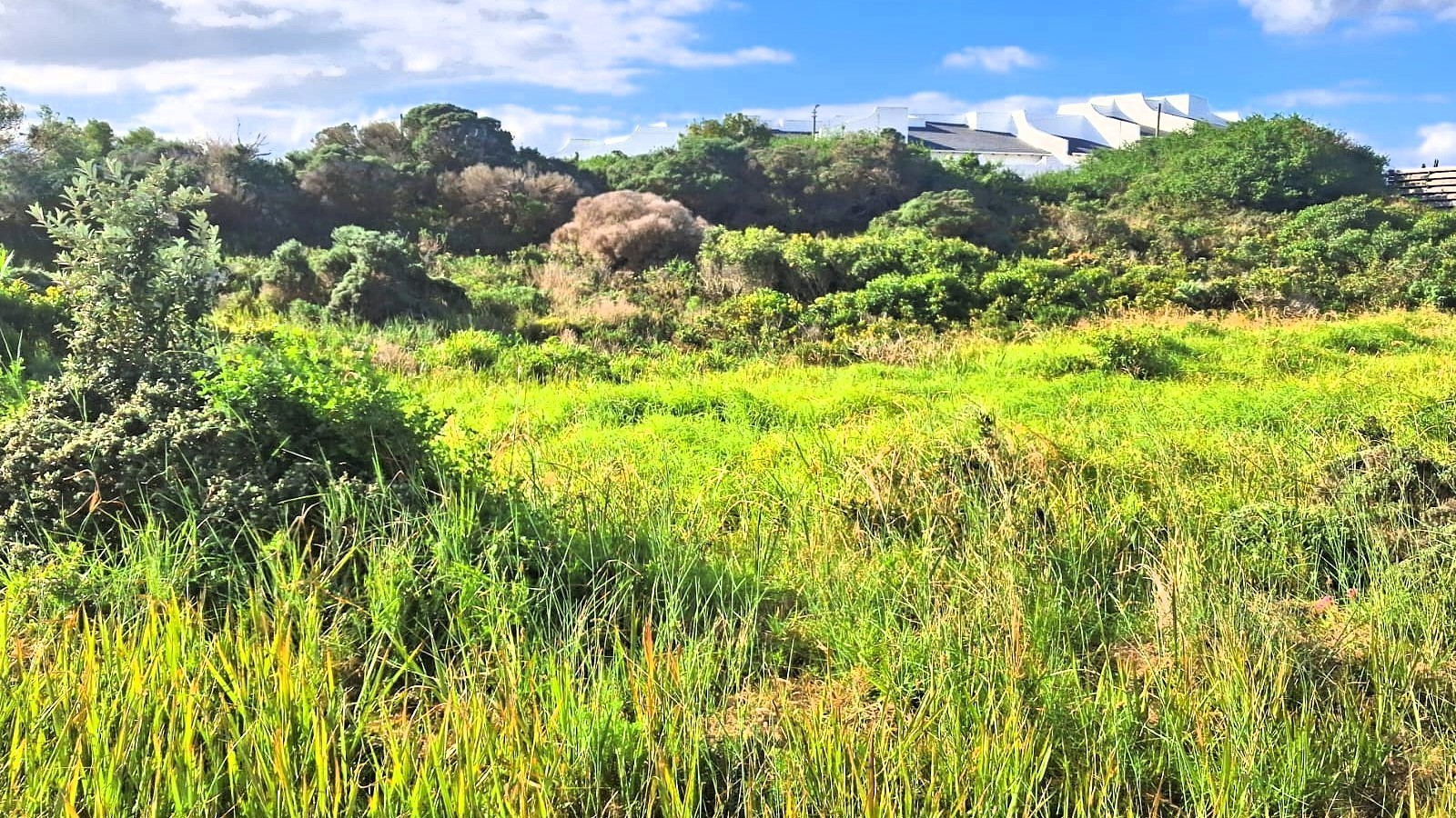 Vacant Land for sale in Paradise Beach, Jeffreys Bay, 708 m²