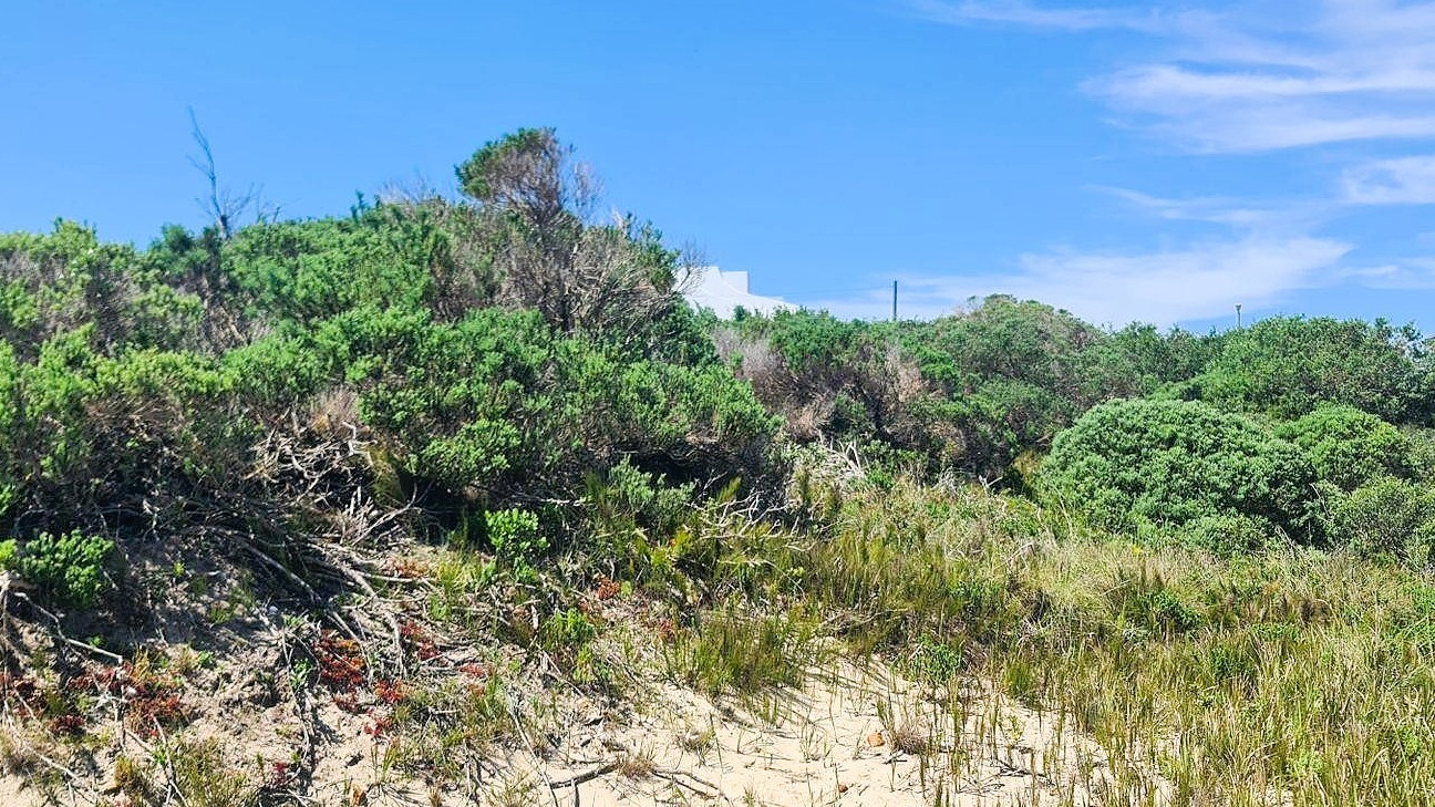 Vacant Stand for Sale in Paradise Beach, Jeffreys Bay - Build Your Dream Coastal Home