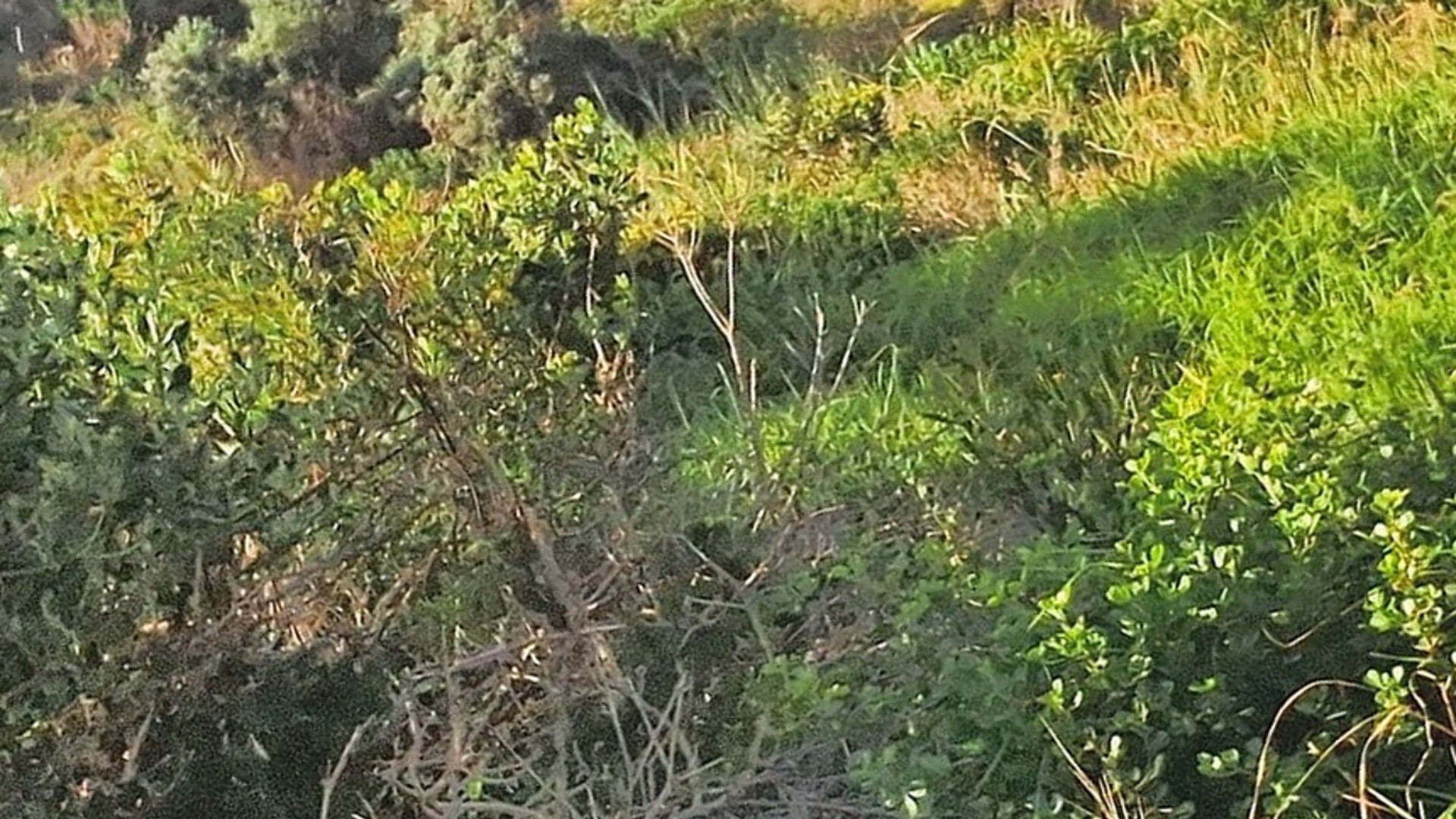 Vacant Land for sale in Paradise Beach, Jeffreys Bay, 708 m²