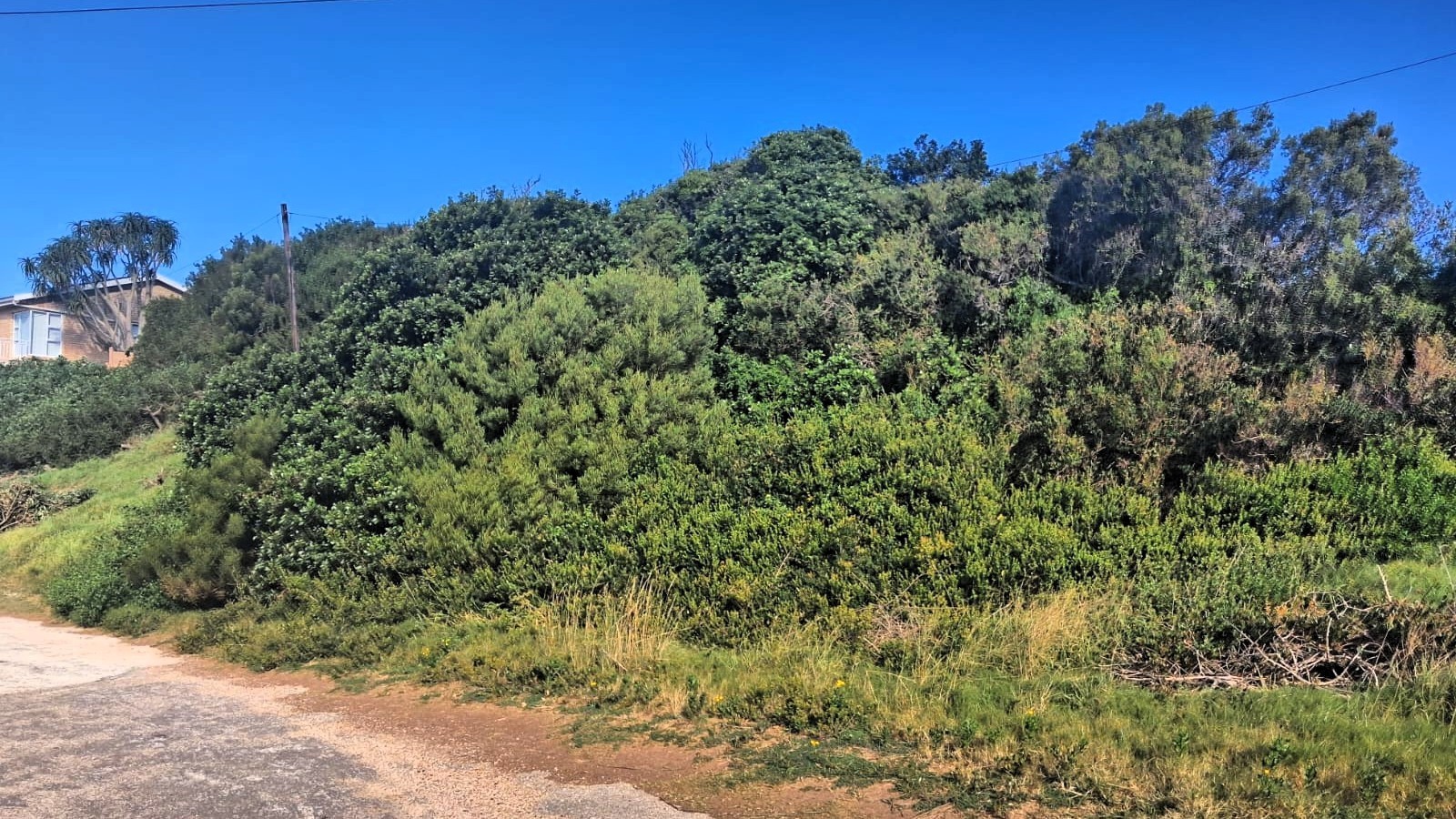 Elevated Corner Stand for Sale in Paradise Beach, Jeffreys Bay | Build Your Dream Coastal Home