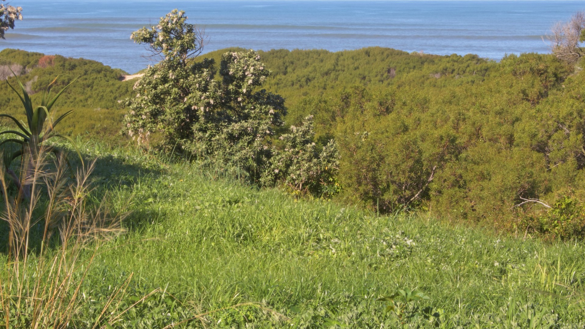 Vacant Land for sale in Paradise Beach, Jeffreys Bay, 694 m²