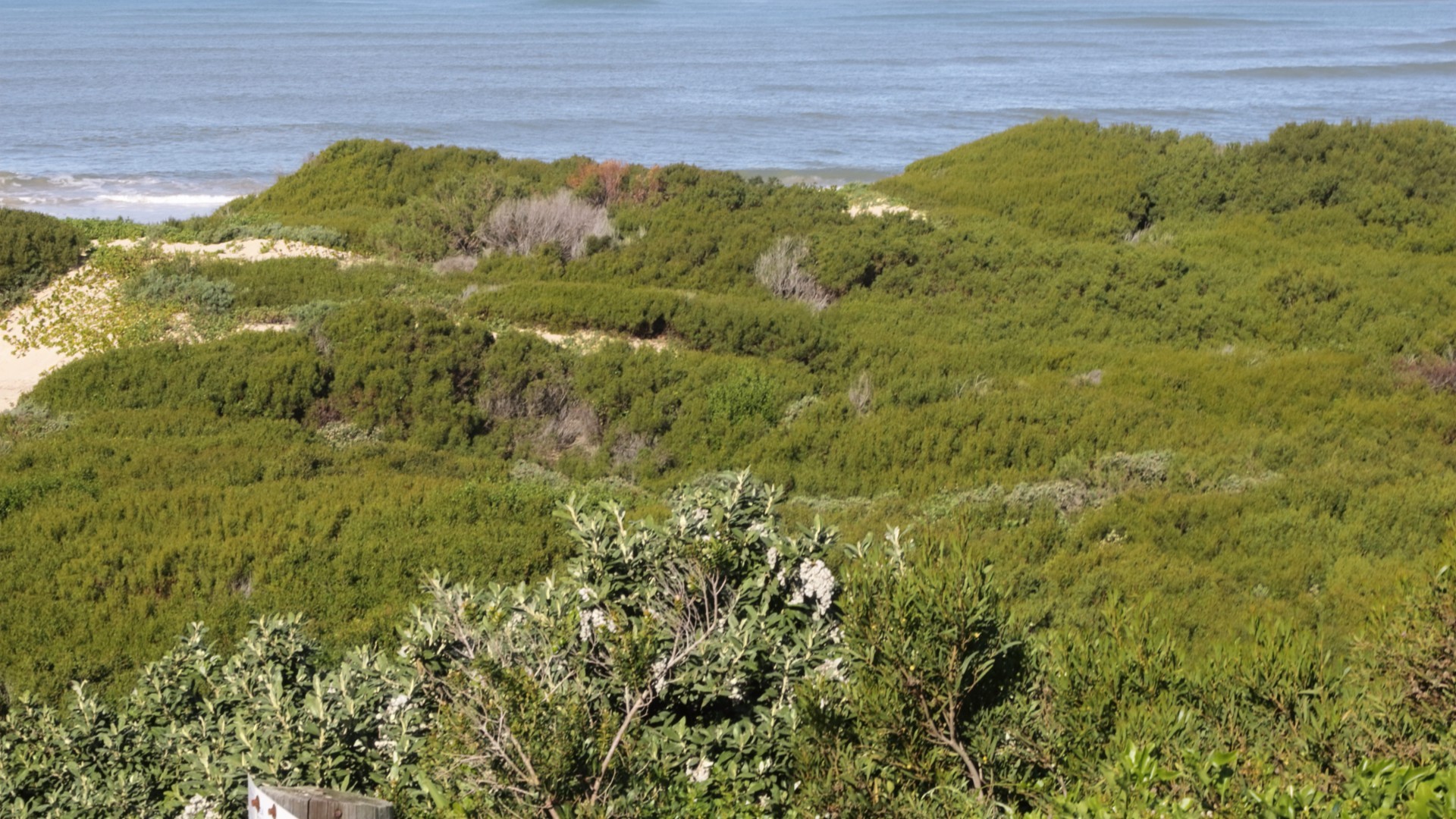 Vacant Land for sale in Paradise Beach, Jeffreys Bay, 694 m²
