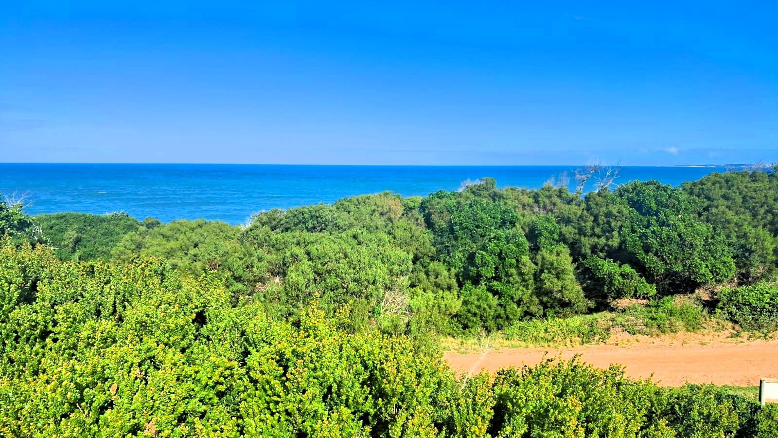 Prime Vacant Land for Sale in Paradise Beach, Jeffreys Bay | 1,295m² Sea View Stand