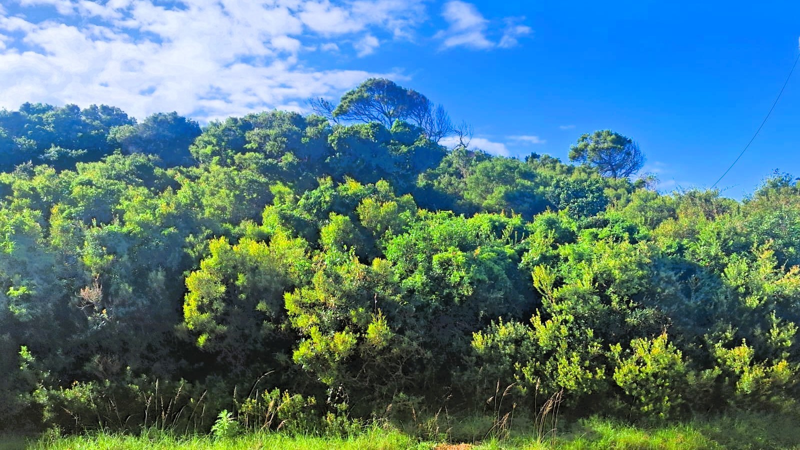 Prime Vacant Land for Sale in Paradise Beach, Jeffreys Bay | 1,295m² Sea View Stand