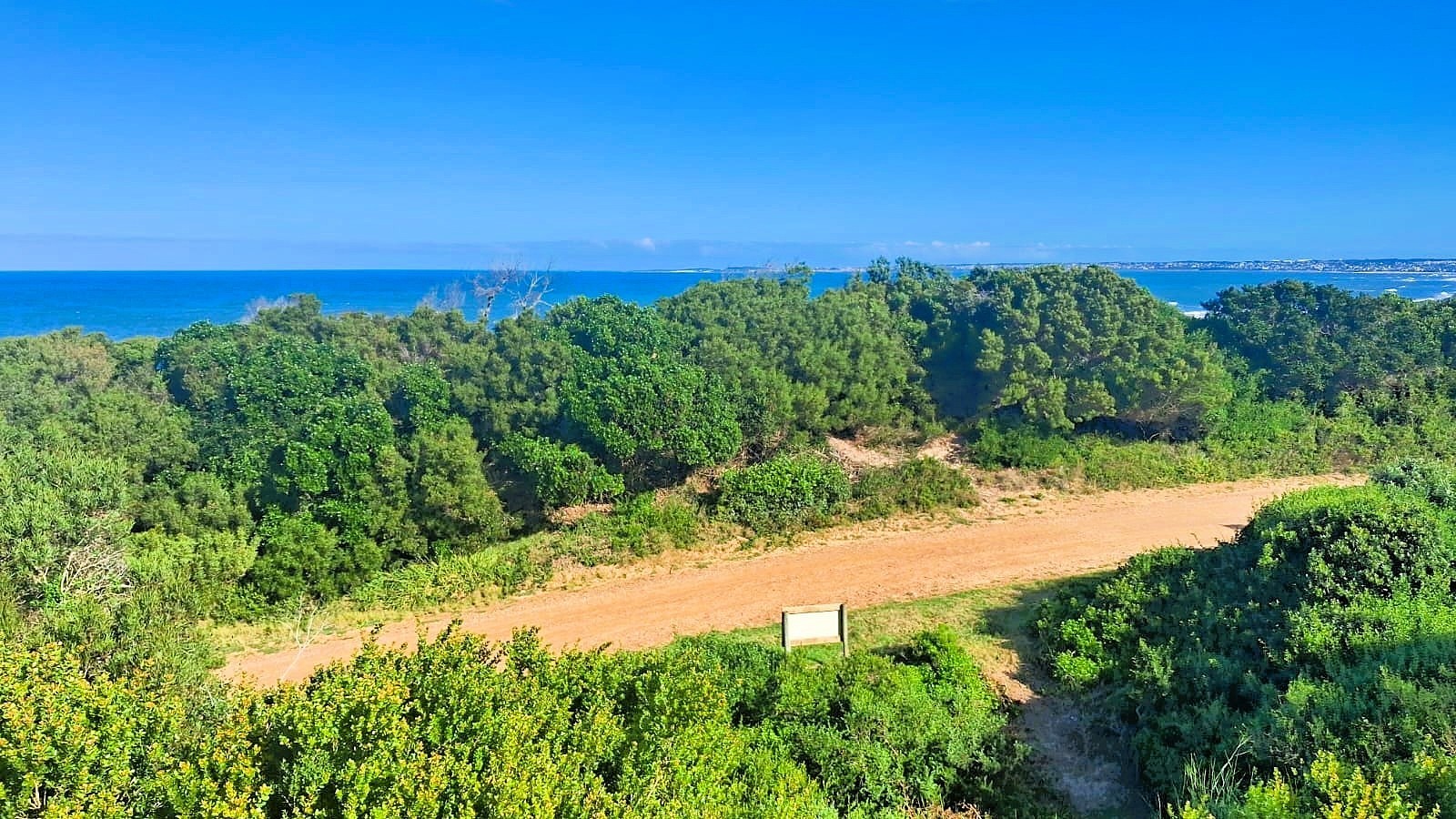 Prime Vacant Land for Sale in Paradise Beach, Jeffreys Bay | 1,295m² Sea View Stand