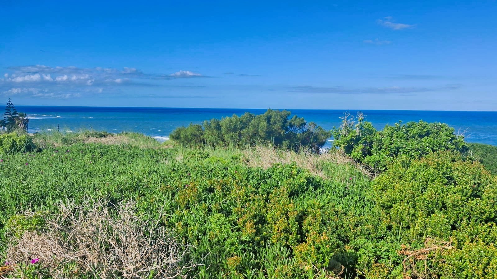 Prime Vacant Land for Sale in Paradise Beach, Jeffreys Bay | 1,295m² Sea View Stand