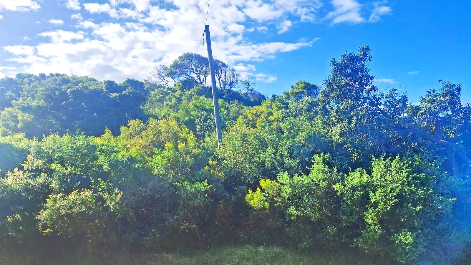 Prime Vacant Land for Sale in Paradise Beach, Jeffreys Bay | 1,295m² Sea View Stand