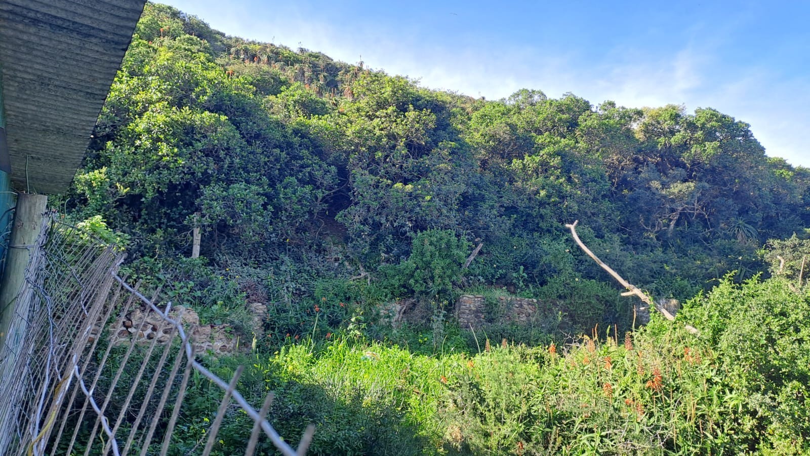 Vacant Land for sale in Amsterdamhoek, Port Elizabeth, 80 Amsterdamhoek Drive, Amsterdamhoek, Port Elizabeth, Eastern Cape, 1101 m²